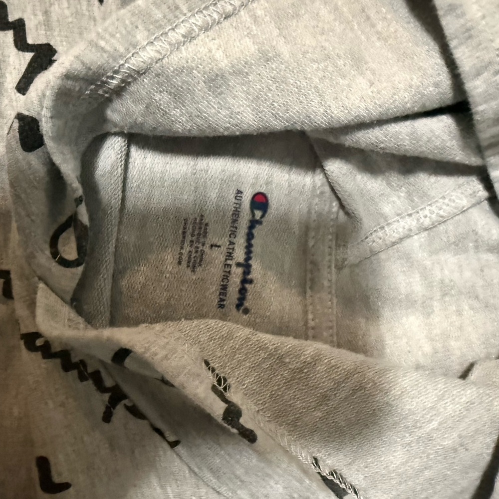 Champion Gray Hoodie